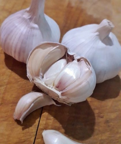 conservar el ajo fresco
