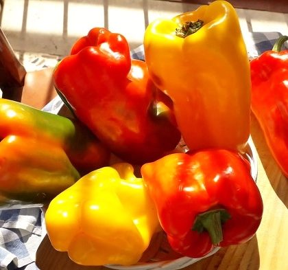 Cómo escoger pimientos