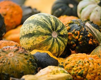 la calabaza protagonista del otoño